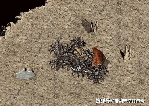 邪恶钳虫刷新时间与掉落 蜈蚣洞精英怪打法与装备产出